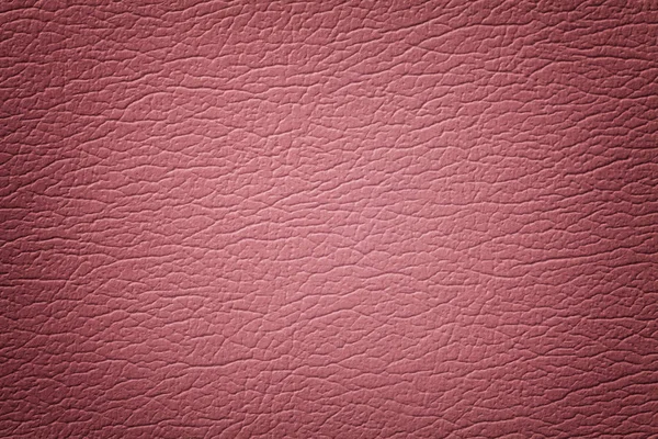 Fond texture cuir rose foncé, gros plan. Fond fissuré rose de la peau ridée — Photo