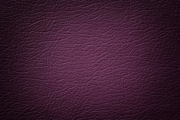 Fond de texture cuir violet foncé, gros plan. Violet fissuré fond de peau ridée — Photo