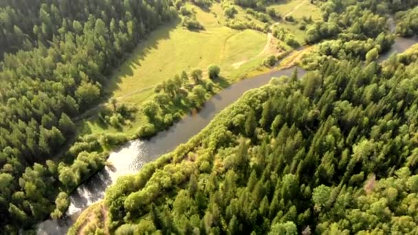 Latanie samolotem drona nad górską rzeką, polem i lasem. Piękny widok z góry drzew i wzgórz. — Wideo stockowe