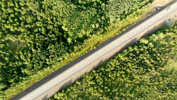 Légi istálló lövés egy vidéki út felett, egy autó vezet az erdő között egy napsütéses napon. — Stock videók