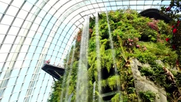 Singapore, 02 September 2020: Waterfall in orangery at Gardens by the Bay. — 비디오