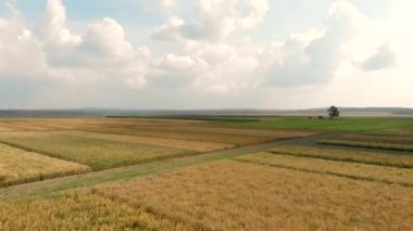 Kırsal yolları çevreleyen farklı renklerdeki tarlalar