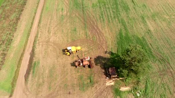 나무 와도로 비행 사이의 넓은 들판에서 있는 수확자들 — 비디오