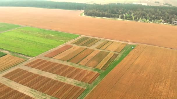 Velddelen van groene en bruine kleuren met onverharde wegen — Stockvideo