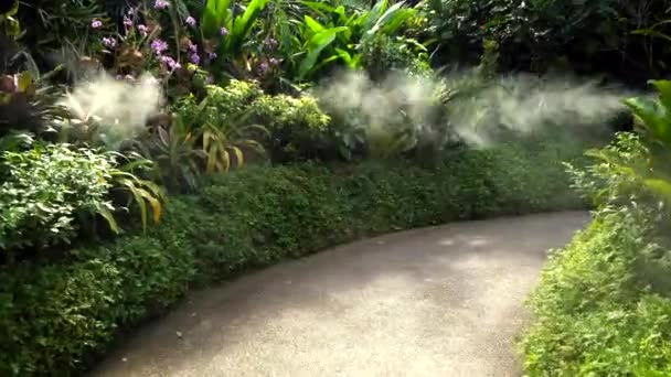Gocce d'acqua spruzzate come vapore sul sentiero circondato da alberi — Video Stock