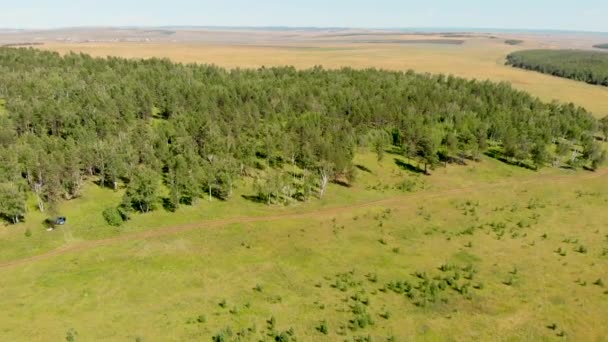 Bouleau et forêts denses entourent les prairies verdoyantes couvrant les collines et les champs — Video