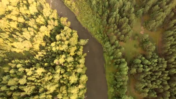 Vuelo aéreo de drones sobre el río y el bosque. Vista superior de arroyos y árboles. — Vídeo de stock