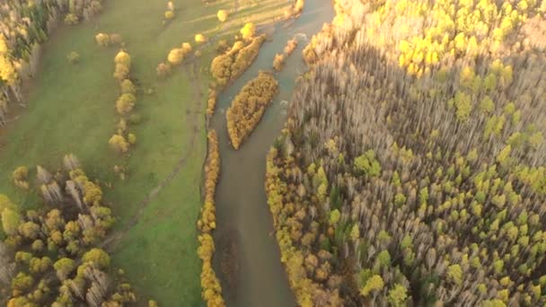 Vista aérea desde un dron sobre un río curva, bosque calvo y carretera rural. — Vídeo de stock