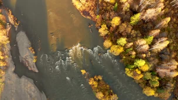 Dron letí nízko nad potokem horské řeky a podzimní les. — Stock video