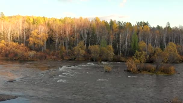 Drone flying cross over a stream of mountain river and fall forest. — Stock Video