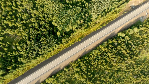 Pájaros Aéreos Vista Sobre Camino Rural Vacío Entre Bosque Verde — Foto de Stock