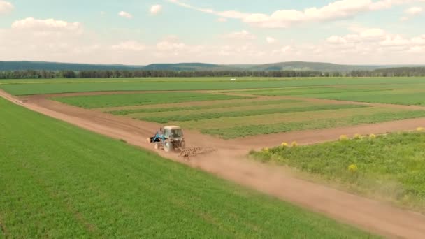 Drone vliegen over veld en blauwe teelt trekker rijden op een begane weg. — Stockvideo