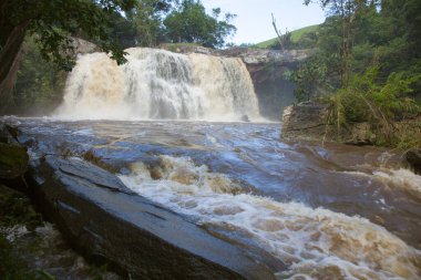 Yağmur ormanlarında Brezilya şelalesi