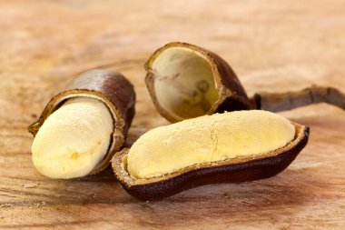 Jatoba do cerrado - Batı Hindistan çekirge ağacı - Hymenaea courbaril - bir ahşap masa üzerinde