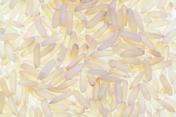 Сырой Коричневый Рис Подсветке Рисунок Высокой Четкости — стоковое фото
