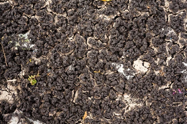 Torkad Markstruktur Förorenade Floder — Stockfoto