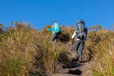Dağ manzarasında büyük sırt çantalarıyla yürüyen insanlar - Brezilya 'nın Mantiqueira aralığında dağ yürüyüşü yapıyorlar.