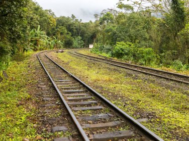 Brezilya yağmur ormanlarında tren rayları