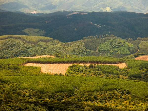 Эвкалиптовые Плантации Бразильском Горном Лесу Видны Сверху Птичий Глаз — стоковое фото