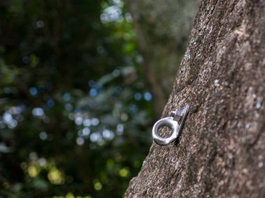 Kaya tırmanışı, dik bir kaya duvarında koruma sağlar.