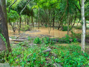 CAPIVARI, BRAZIL - JAN 06, 2019 - Capivari nehri taşkınlığı - Sao Paulo - Brezilya