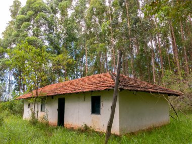 Terk edilmiş eski çiftlik evi