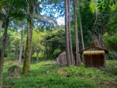 Terk edilmiş eski çiftlik evi