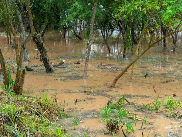 Capivari Brazil Jan 2019 Capivari River Overflow Sao Paulo Brazil — Stock Photo, Image