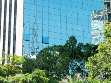 Ağaç yansıtmalı modern şirket gökdeleni.