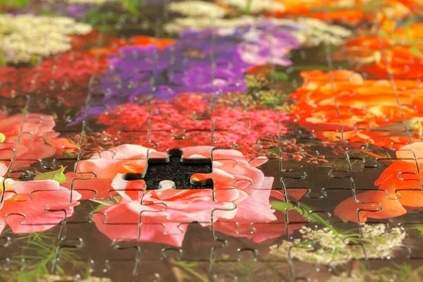 Puzzle Manca Pezzo — Foto Stock