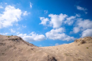 Akdeniz kum Yalı Sardunya, İtalya, Avrupa'nın