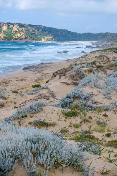 美丽的地中海海岸在撒丁岛 意大利 — 图库照片