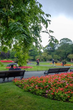 Şehir parkının güzel manzarası