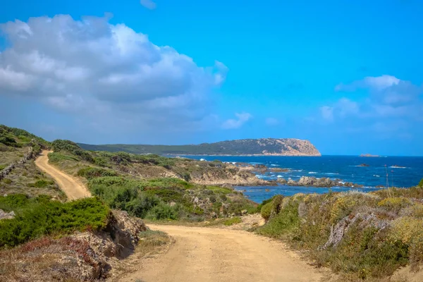 Road to scenic Mediterranean sea coast in Sardinia, Italy, Europe