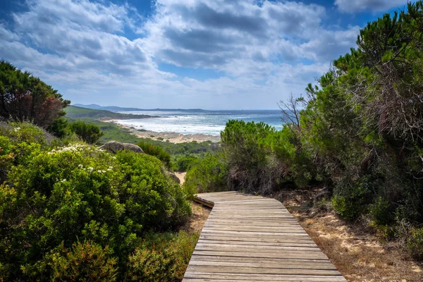 Road to scenic Mediterranean sea coast in Sardinia, Italy, Europe