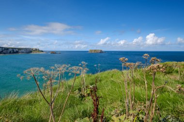 İrlanda, Avrupa'da doğal kayalık deniz kıyısı