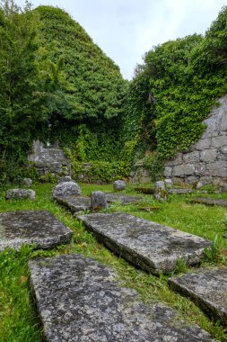 Parkta taş köprüsü olan güzel bir manzara.