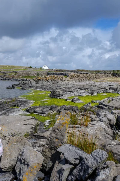 Schöne Landschaft Irlands Natur — Stockfoto