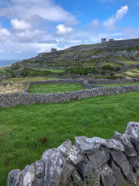 Çiftlik ve antik duvarlar, Beara Yarımadası, Cork, Irlanda Cumhuriyeti, Ingiliz Isles, Avrupa ile kırsal