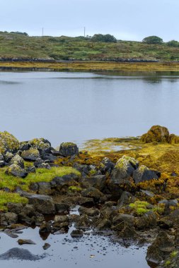 İrlanda 'nın manzarası ve doğası