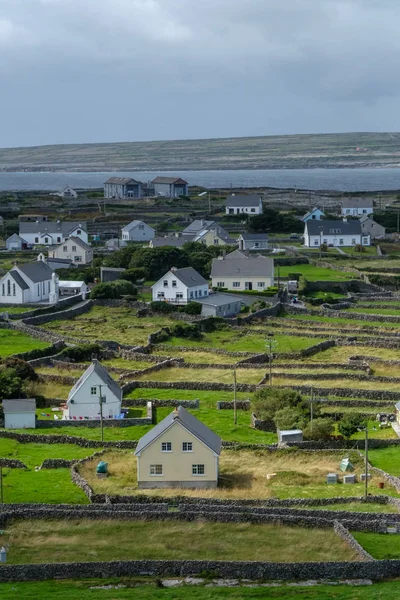 Platteland Met Boerderij Oude Muren Beara Schiereiland Cork Republiek Ierland — Stockfoto