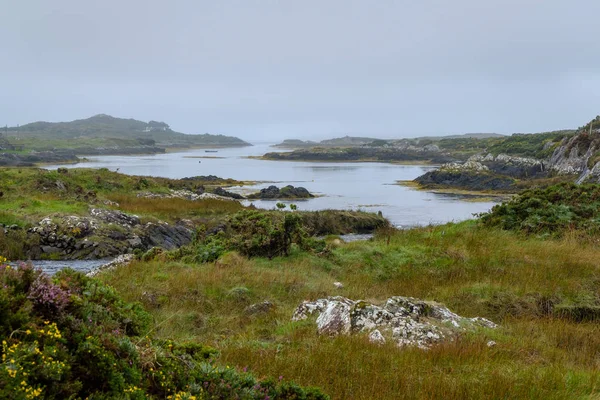 Malerische Felsige Meerküste Irland Europa — Stockfoto
