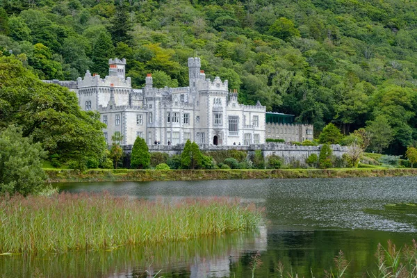Blick Auf Die Burg Irland — Stockfoto
