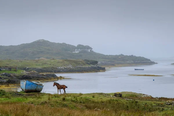 Landschaftlich Reizvolle Landschaft Und Natur Irlands — Stockfoto