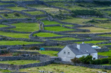 Çiftlik ve antik duvarlar, Beara Yarımadası, Cork, Irlanda Cumhuriyeti, Ingiliz Isles, Avrupa ile kırsal