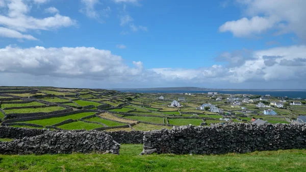 Çiftlik ve antik duvarlar, Beara Yarımadası, Cork, Irlanda Cumhuriyeti, Ingiliz Isles, Avrupa ile kırsal