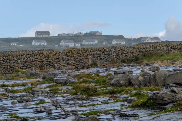 Platteland Met Boerderij Oude Muren Beara Schiereiland Cork Republiek Ierland — Stockfoto