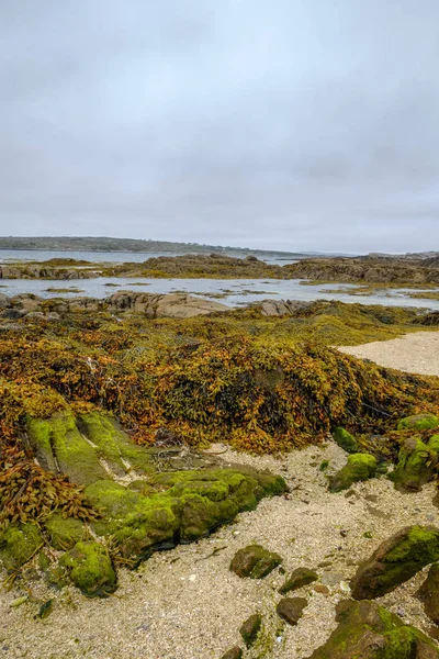 爱尔兰风景秀丽的岩石海岸 — 图库照片