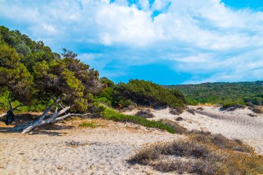 Saline, İtalya 'nın güzel manzarası