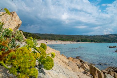 Denize ve dağlara bak.